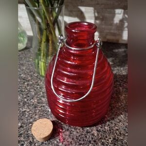 Red Glass Wasp trap